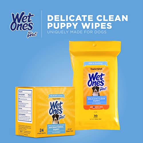 Wet Ones for Pets Grooming Puppy Wipes with Oatmeal, 24 Ct Singles 48