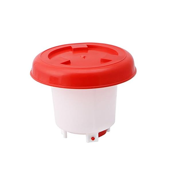 ypypiaol, mangiatoia per pollame, Anatre, Uccelli, pollame, Galline, quaglie, Bantam, Cibo, Acqua, Fattoria, Animali