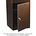 dVault® Full Service Vault DVCS0015 Secure Curbside Mailbox/Package Drop with Locking Letterbox (Copper Vein)