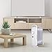 Air Choice Oil Heater, Overheating Protection, Portable Compact Mini Radiator for Home and Office, 700W, Small, White (A)