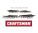 New CRAFTSMAN 40 pc SAE and Metric HEX KEY ALLEN WRENCH SET 20 + 20 PC