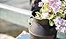 Craft Outlet Black Tin Milk Can Container with Star, 13-Inch