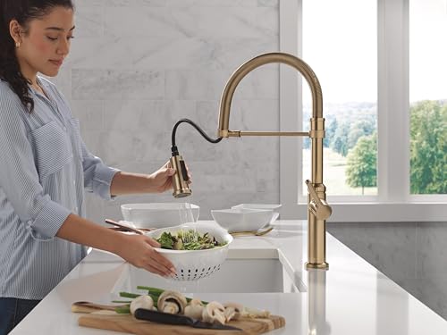 Delta Rhett Pro Style Commercial Kitchen Faucet with Pull Down Sprayer, Single Hole Brushed Gold Kitchen Sink Faucet, Single Handle, Champagne Bronze 18829-CZ-DST