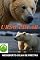 Livro Urso-polar