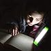 EzGoo LED Camping Light (LED Camping Light Stick)