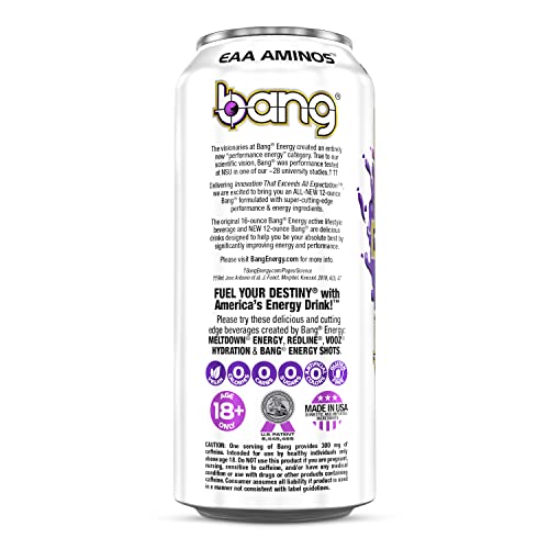Bang Energy Purple Haze, SugarFree Energy Drink, 16Ounce (Pack of 12