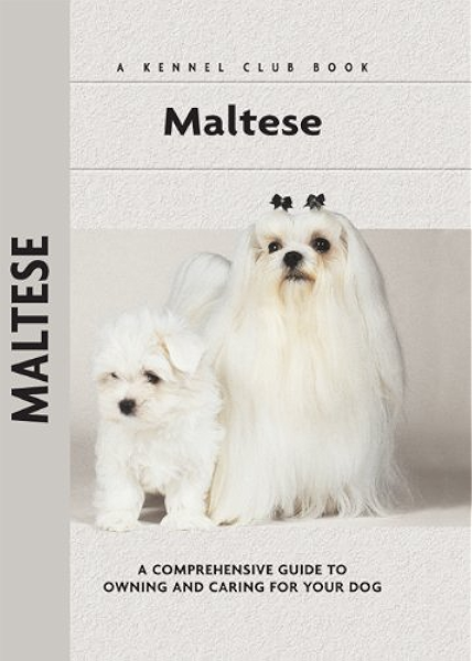 owning a maltese