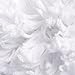 NORCHO Soft Microfiber Non-Slip Rubber Luxury Area Rug for Livingroom Bedroom Bathroom Decor Machine Washable 2.6 x 3.9ft /80 x 120cm White