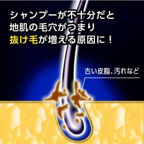  シャンプーが不十分だと地肌の毛穴がつまり、抜け毛が増える原因に
