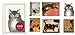 Metropolitan Museum of Art Boxed Notecards, Cats