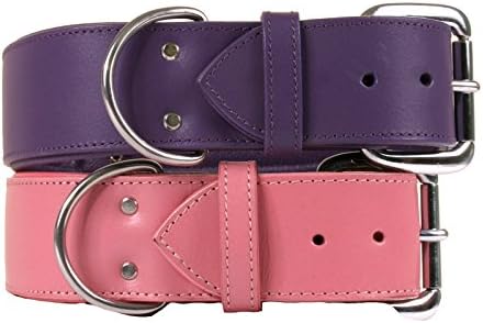 Angel Elite The Dallas Luxury Leather Dog Collar with Padding - from The Line - Available in Pink or Purple