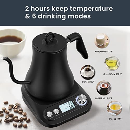 Electric Gooseneck Kettle, 0.8L PourOver Coffee Tea Kettle, Variable