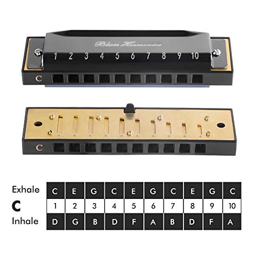 Blues Harmonica with Black Case, 10 Holes, 20 Tones, Key of C Blues Harmonica Stainless Steel (Black), Suitable for Beginners and Professionals Players, Best Gift for Kids, Students, Friends harmonica