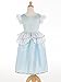 Little Adventures Princess Cinderella Dress Up Costume (Small Age 1-3) - Machine Washable Child Pretend Play and Party Dress with No Glitter