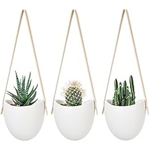 Amazon.com: wall decor