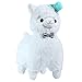 Alpacasso 17