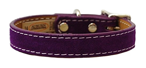 Saratoga Suede Dog Collar 1-1/4x26 Purple