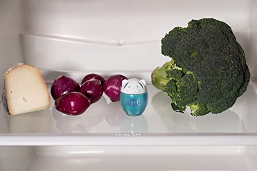 Mister Magic Babyzitje voor de koelkast, met bicarbonaat en zeezout, houdt het aroma van levensmiddelen onveranderd… - Afbeelding 5