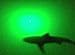 Green Blob Outdoors Fishing Light New (Green 15000 Lumen) Pro 15DX Dock Underwater LED, w/ 30ft Cord, LED, Fish Attractor, Crappie, Snook, Bass, Catfish (15,000 3-Prong Plug, Green)