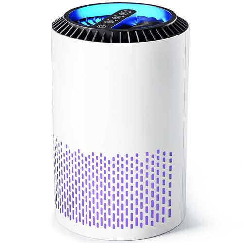 Air Purifiers for Bedroom Home, H13 True HEPA Filter Cleaner with Fragrance Sponge Covers up to 386 Sq Ft, for 99.97% Smoke, Dust, Odors, Pollen, Pet Dander, Office Desktop Small Room, MJH001A White