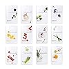 [Pack of 12] EUNYUL Daily Care Face Sheet Mask Pack 12 types Korean Skincare Hydrating & Nourishing Face masks beauty