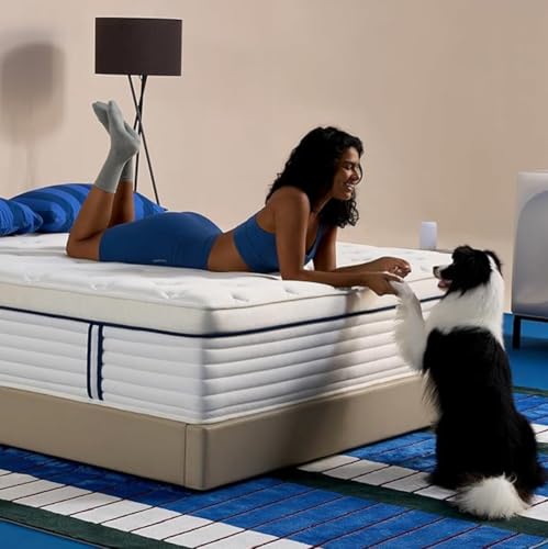 REJUSLEEP 12 Inch Hybrid Queen Mattress
