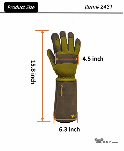 4 2431L+Florist+gardening+Pruning+Resistant