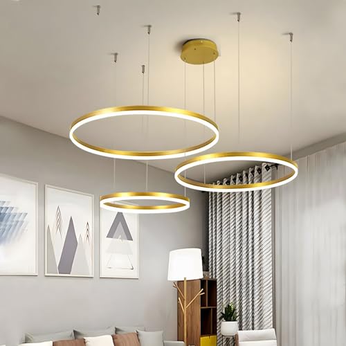 WayLuoung Metal LED Chandelier | 3 Circles 20+40+60cm | 45W Hanging Ceiling Light With Rings, Dimmable Remote Control 3000-6000K, Acrylic Lampshade Living Room Bedroom Foyer Dining Room【Gold】