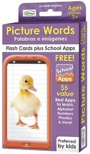 Download Picture Words Flash Cards PDF