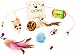 Friends Forever Kitten Toys Variety Pack - Cat Toys Set Including Cat Fishing Pole, Catnip Pillow & Lot More, Cute Kitty Toys for Cats 20 Pieces