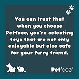 Petface Toyz Quad Woven Rope Ball Dog Toy view 4