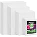 Arteza Painting Canvas Panels Multi Pack, 5x7", 8x10", 9x12", 11x14", Set of 28, Primed White, 100% Cotton with Recycled Board Core, for Acrylic, Oil, Other Wet or Dry Art Media, for Artists primary