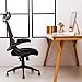KADIRYA High Back Ergonomic Mesh Office Chair with Mesh Seat - Adjustable 90-110 Degree Tilt Lock, Flip-up Armrest, Lumbar Support and Headrest Computer Desk Task Chair, Black