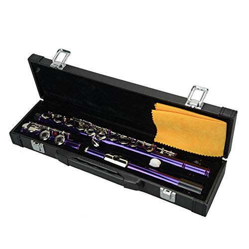 DREAMALVA Purple 16 Hole C Closed Hole White Copper Flute + Pass Rod + Cleaning Cloth + Lubricant + Screwdriver