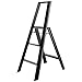 Hasegawa Ladders Step Ladder, Black