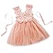 HOTONE Elegant Feast Baby Girls Princess Lace Flower Tulle Tutu Gown Formal Party Dress (4-5 Years, Pink)
