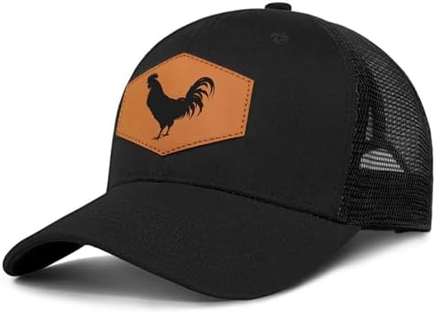 Raccoon & fighting cock 
