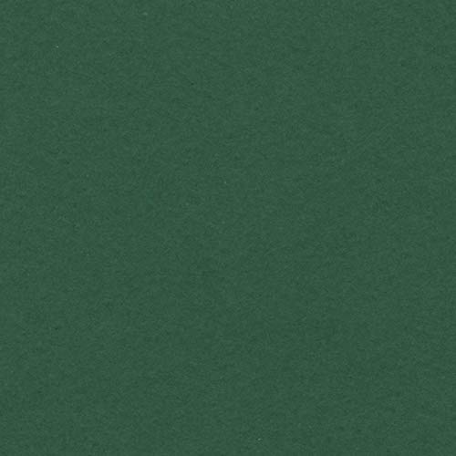CansonIris Vivaldi A4 240 GSM Smooth Colour Paper - Fir Tree (Pack of 50 Sheets)