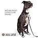 Logical Leather Dog Leash - 6 Foot Heavy Duty Full Grain Leather Lead; Best for Training - Black