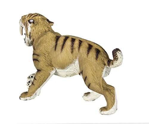 Safari Ltd  Wild Safari Smilodon