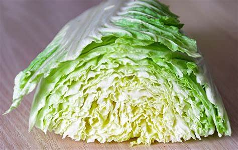 Michihili Napa Cabbage Seeds (25+ Pack) - Non-GMO Heirloom Michihill Variety by Cool Beans N Sprouts for Home Gardens