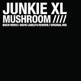 Junkie Xl - Today Radio Edit