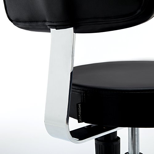 Dr.lomilomi Multi-adjustable Hydraulic Rolling Medical Massage Stool Chair with Backrest 501 (Black)