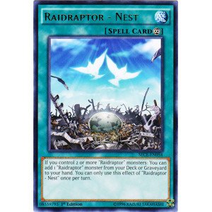 Yu-Gi-Oh! - Raidraptor - Nest (SECE-EN054) - Secrets of Eternity - 1st Edition - Rare