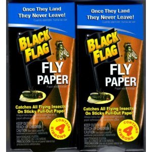 Black Flag Fly Paper – 2 Packs