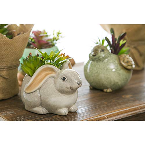 Cypress-Home-Ceramic-Rabbit-Planter-with-Succulent-6-x-5-x-4-Inches