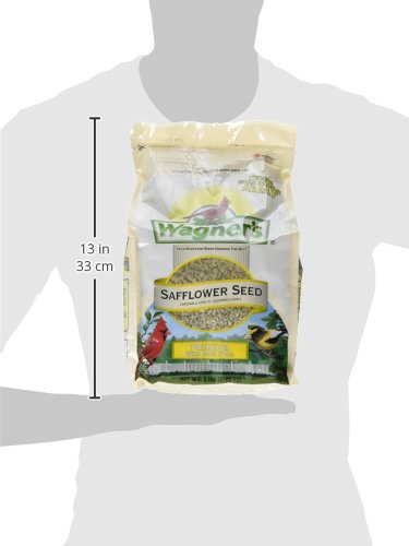 WAGNER’S 57075 SAFFLOWER SEED WILD BIRD FOOD, 5 POUND (PACK OF 1)
