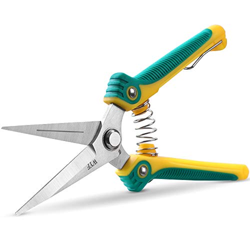 WYF 8.1″Gardening Hand Pruner Pruning Shear with Straight Stainless Steel Blades,Ultra Sharp Multi-Purpose Scissors for Garden Harvesting Fruits & Vegetables,Trimming Flowers and Plants (Green)