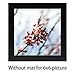 Golden State Art, 6x6 Black Photo Frame-Display Photos 4x4 with White Mat or 6x6 without Mat - Solid Wood, Real Glass, 1-Pack (Wall Display)