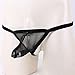 MSemis Men's Sexy Lingerie See-Through Micro Bikini G-String T-Back Mesh Bugle Pouch Briefs Black Large (Waistline 27.0